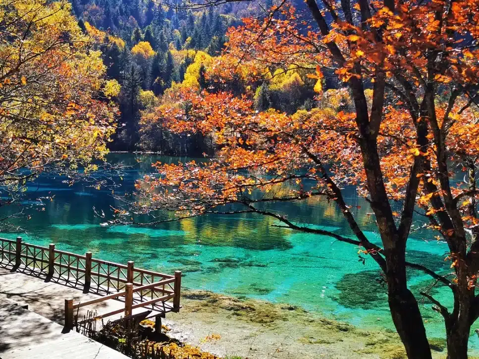 Парк Цзючжайгоу — Природное Наследие и Водопады в Китае