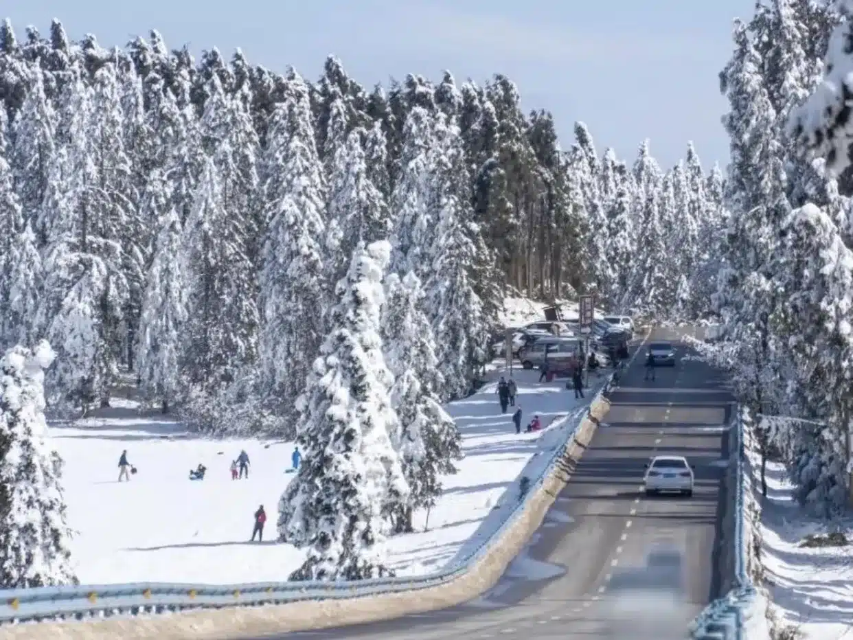 Национальный лесной парк «Гора фей» в городе Чунцин