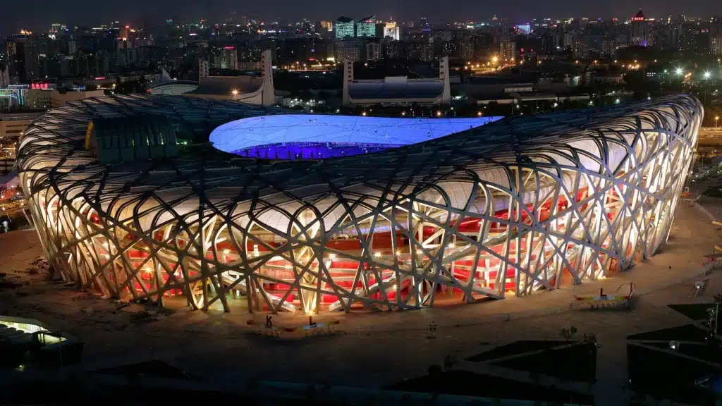 Птичье гнездо