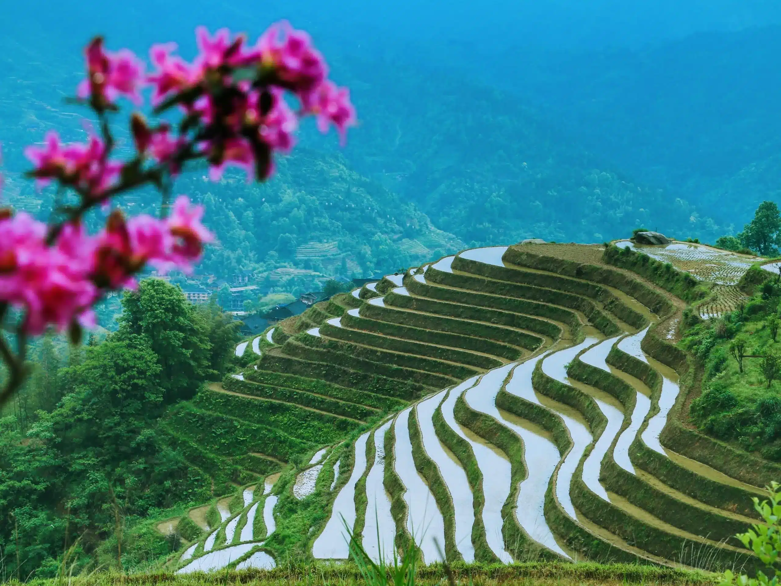 Рисовые террасы Лунцзи