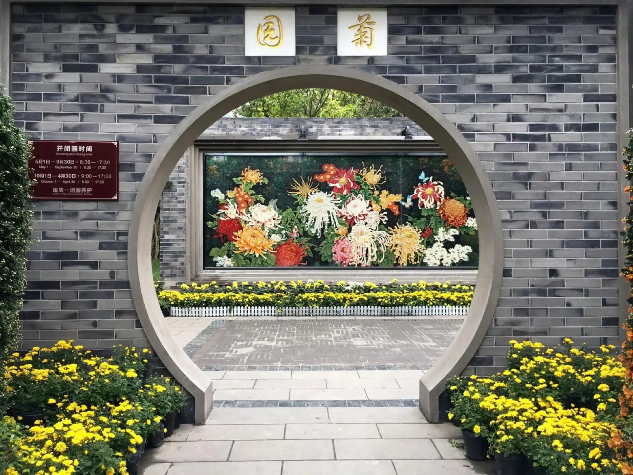 Смотрите выставки цветов