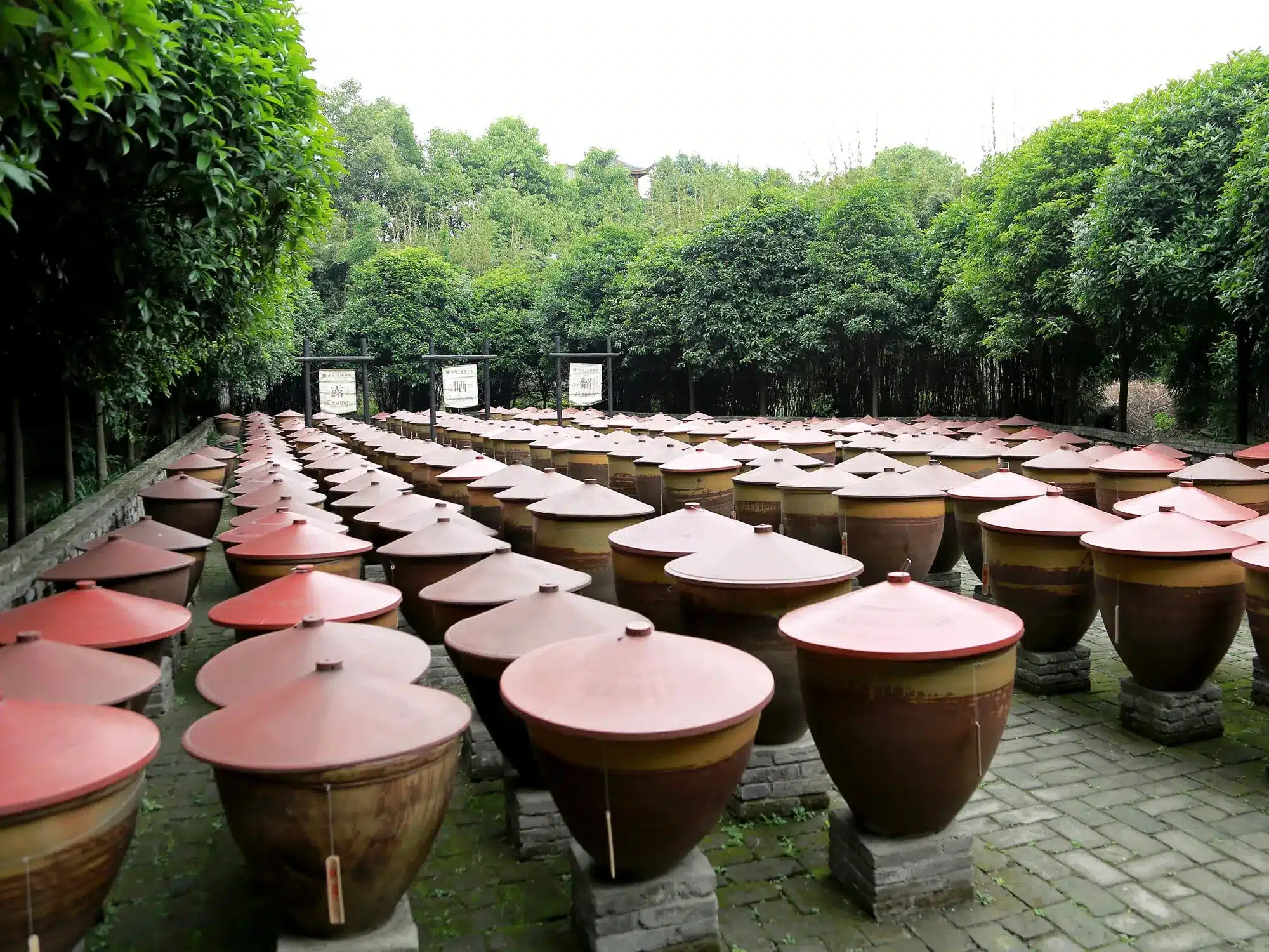 Сырье Музея