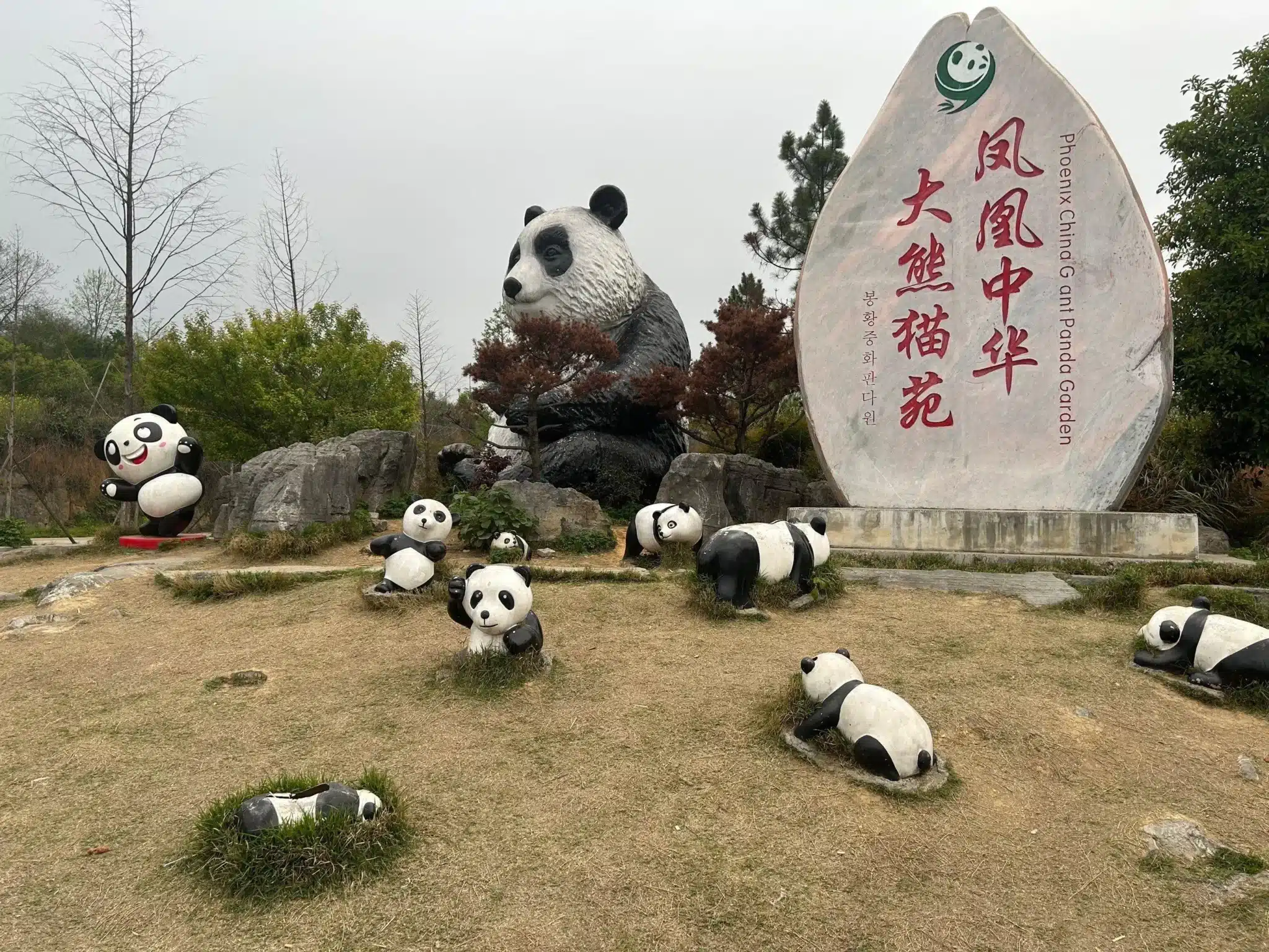 Китайский парк панд Фэнхуан — экотуризм и защита природы в Хунани