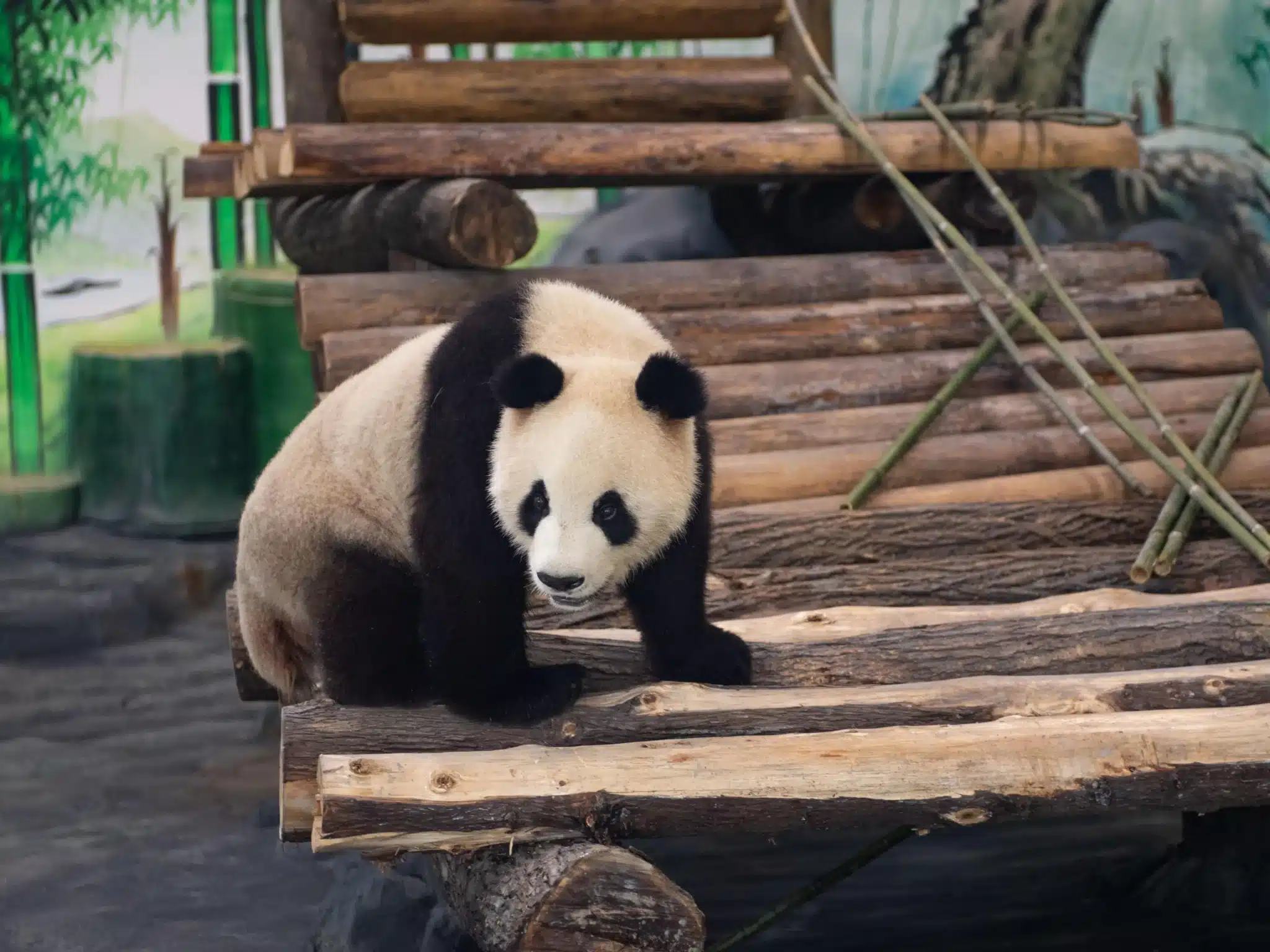 Научно-популярный павильон