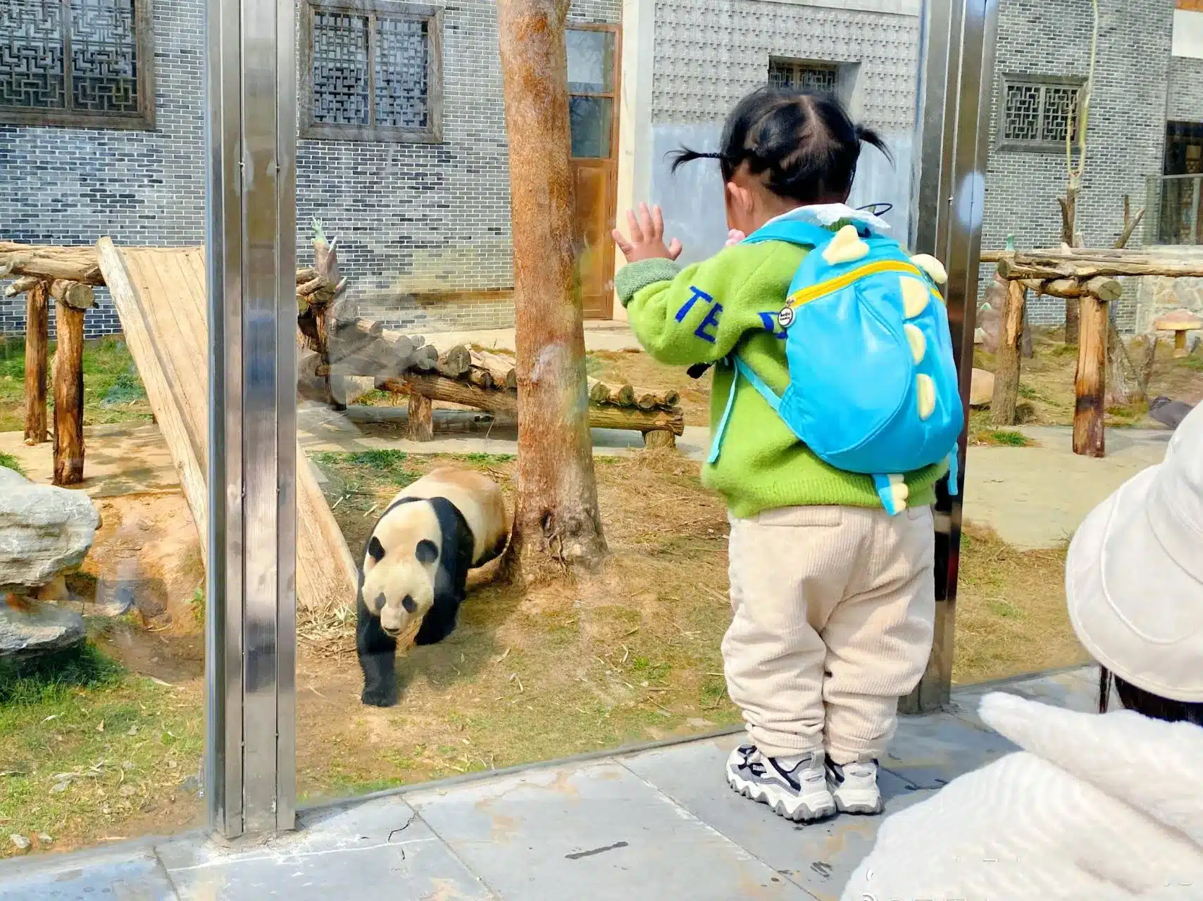 Павильон сопутствующих животных