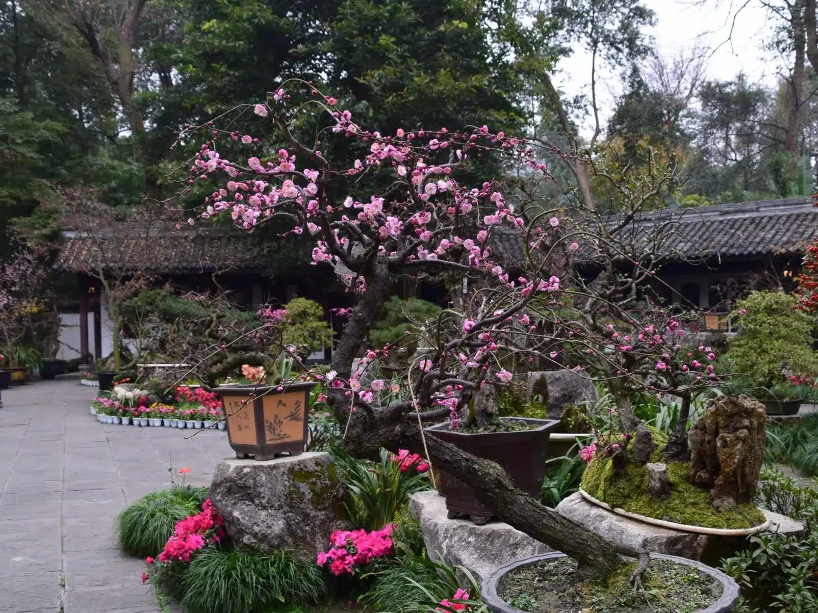 Тростниковая хижина Ду Фу