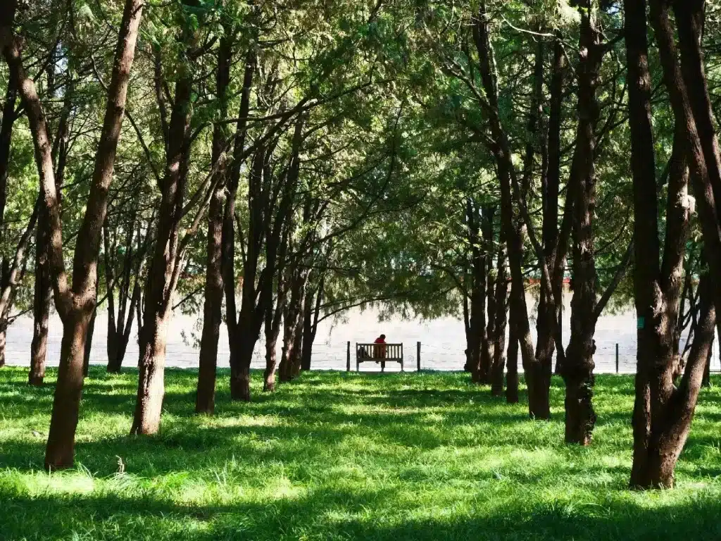 Храм Земли в Пекине