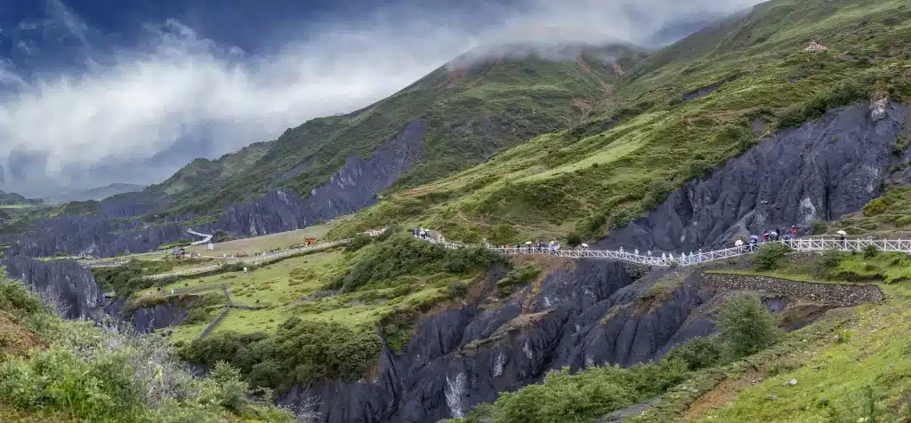 экологический сад