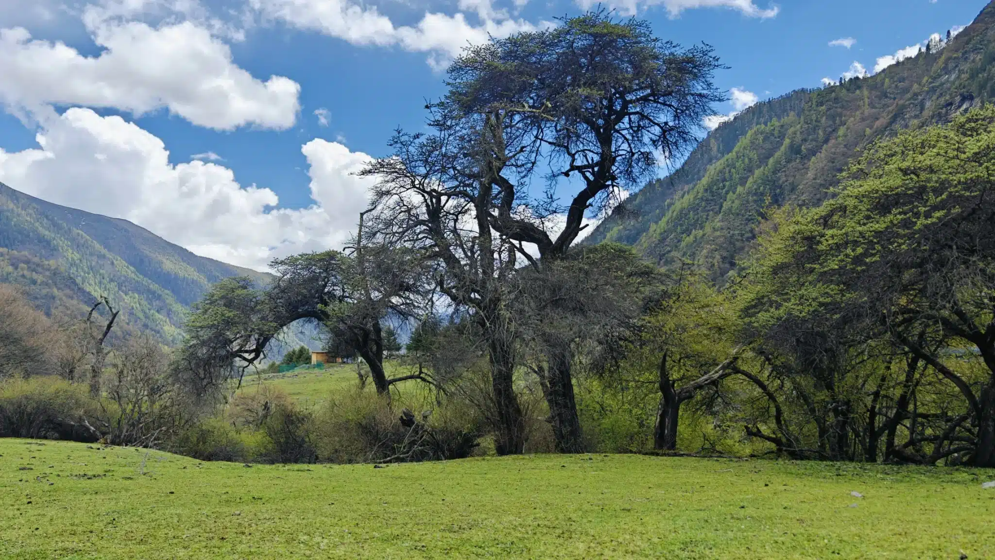 живописный район Сыгуняншань Китая