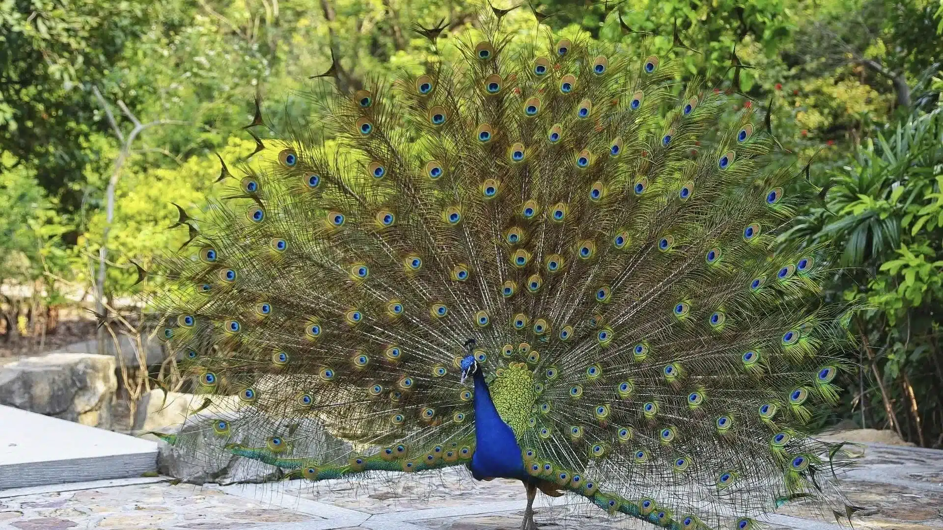 долина Минчунь на Горе Байюнь