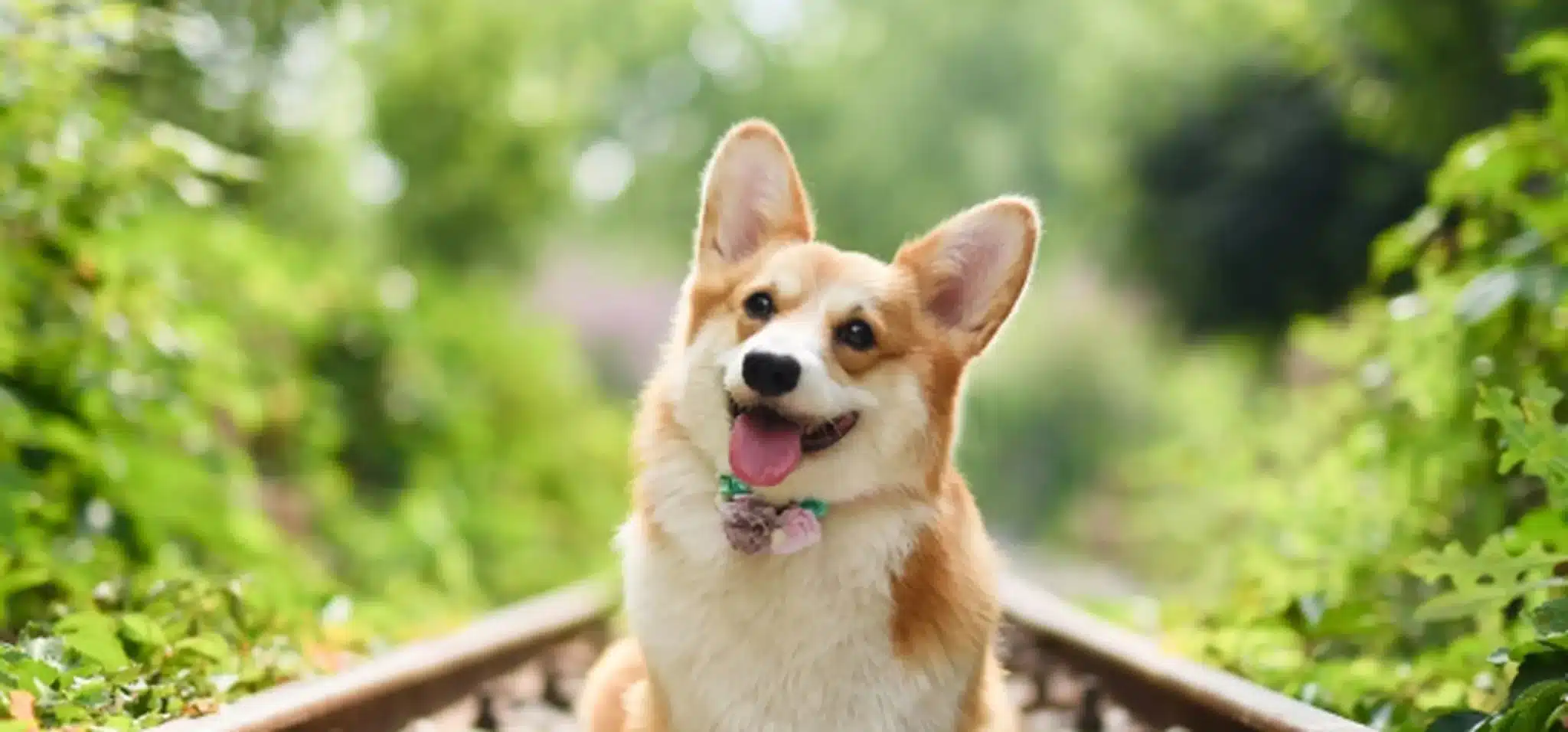 1994 год кого