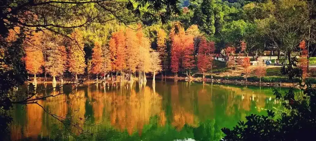 гора Байюнь, город Гуанчжоу