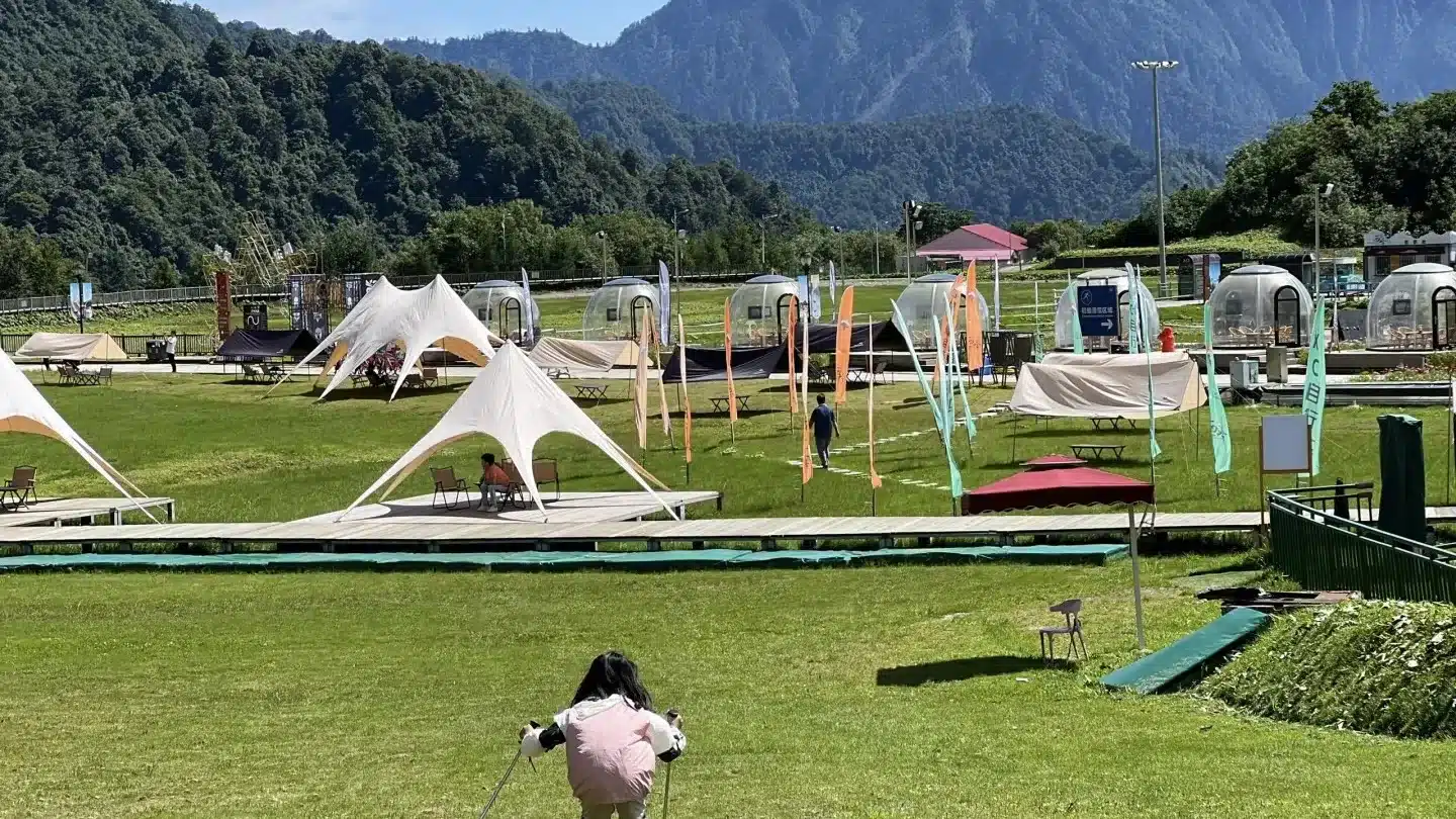 Катание на лыжах по траве летом