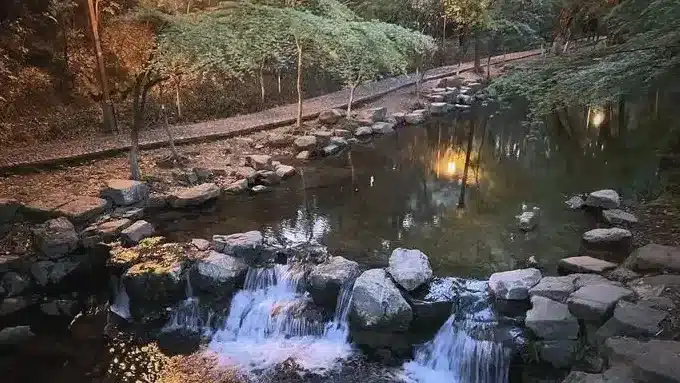 Чайная деревня Мэйцзяу в городе Ханчжоу