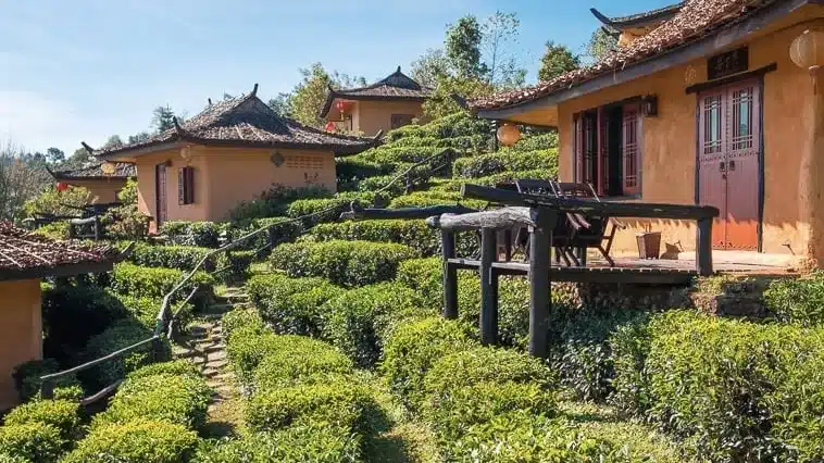 Мэйцзяу Чайная деревня в Ханчжоу