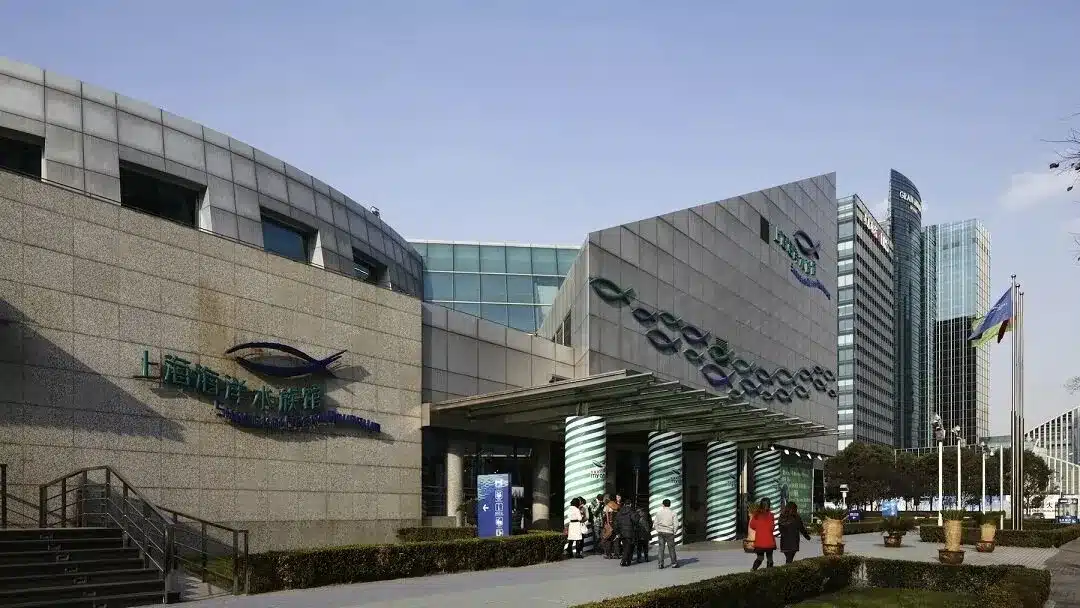 океанариум в городе Шанхай