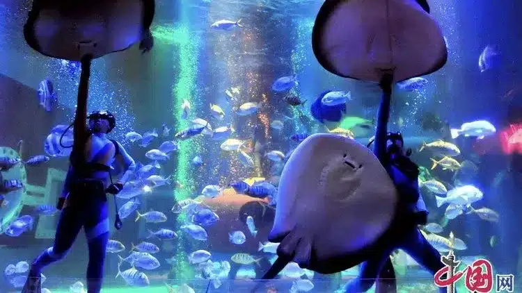 океанариум, тур в Шанхай