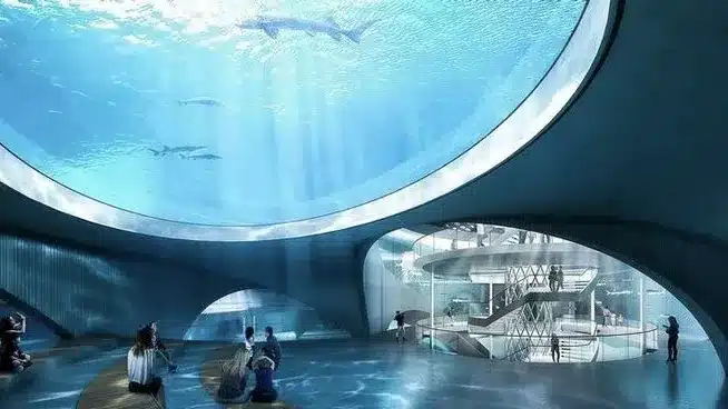 Шанхайский океанариум, тур в Шанхай