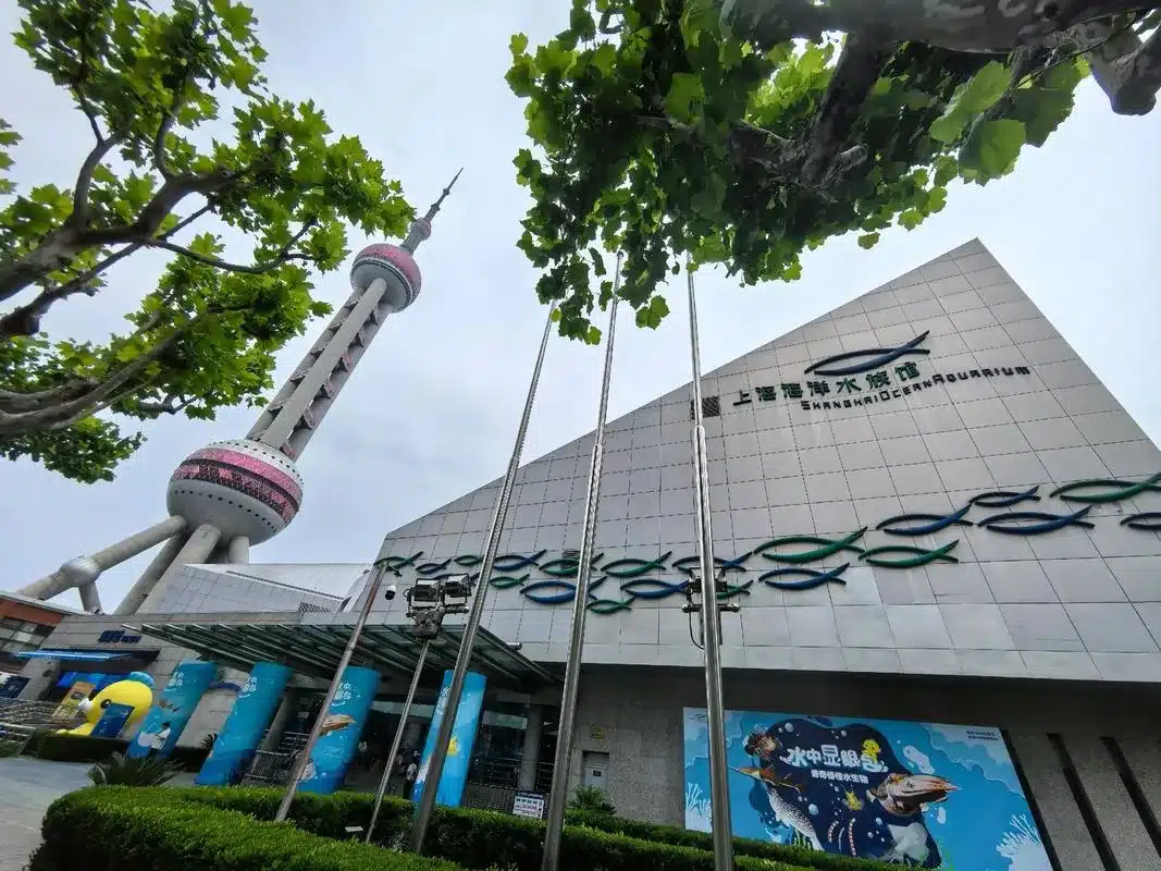 Шанхайский океанариум