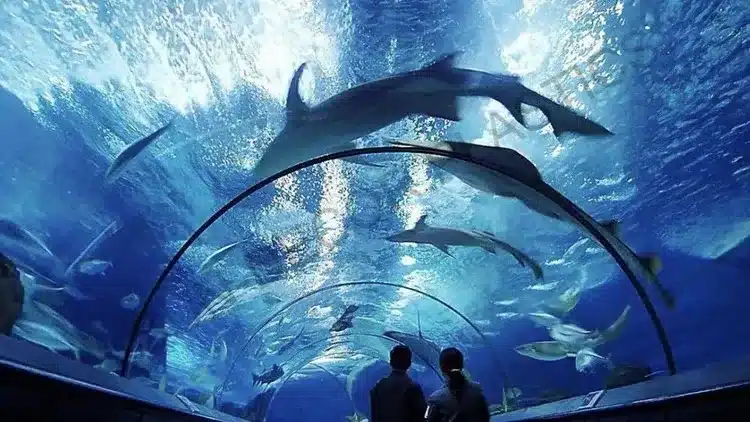 Подводный туннель