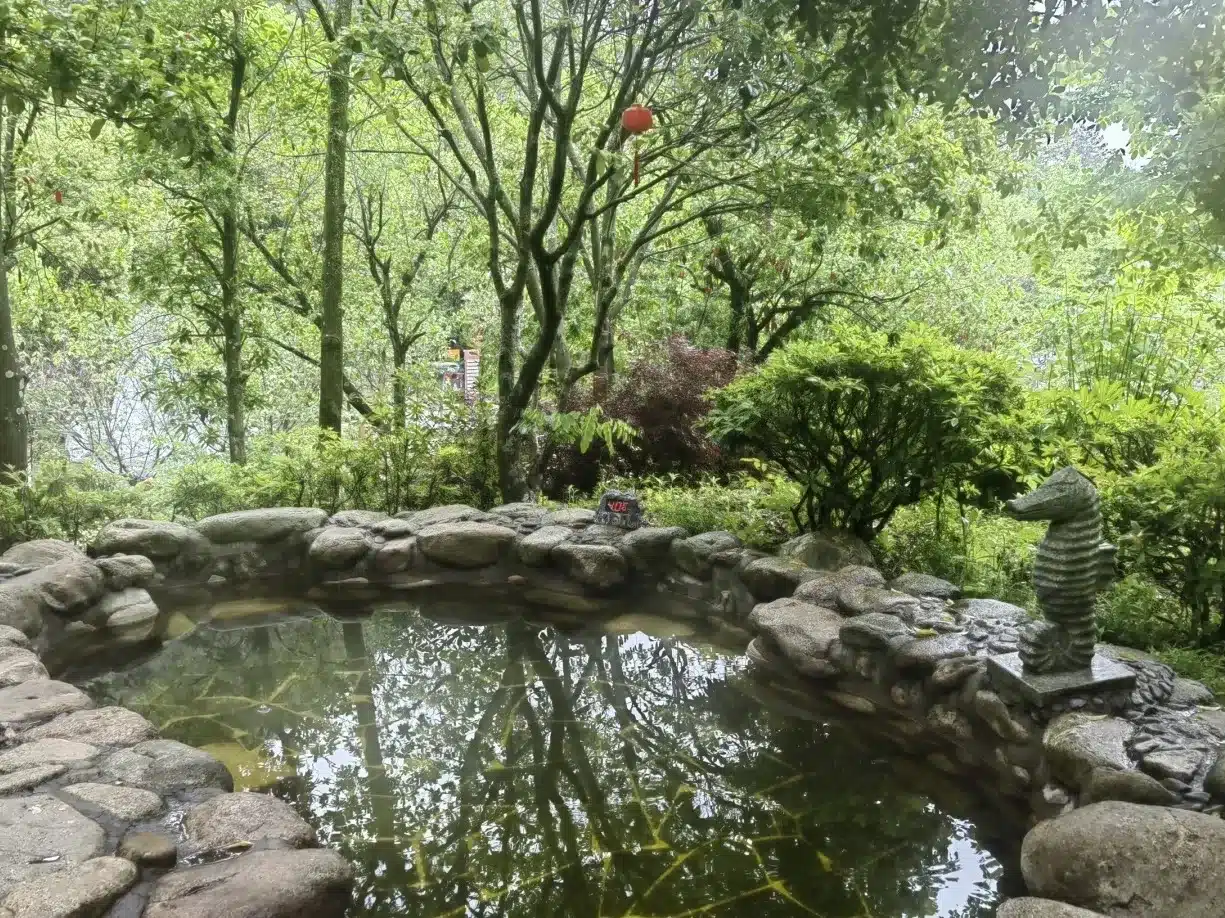 горячие источники