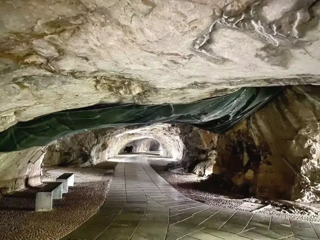 тур Гора Фубо