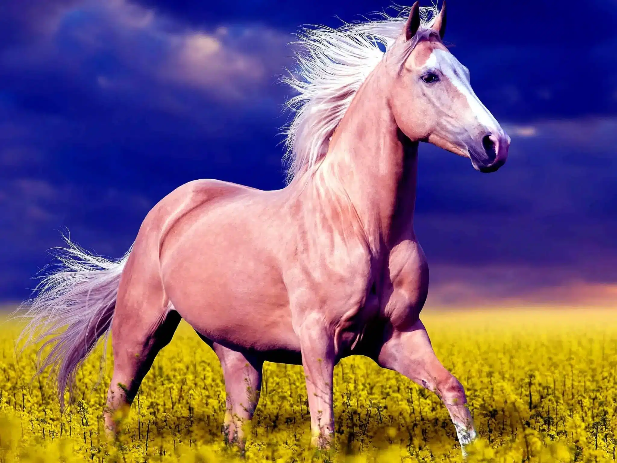 1990 год кого