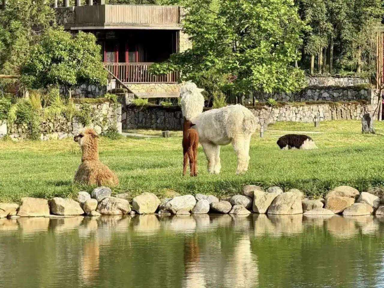 Сяньнюйшань в Чунцине