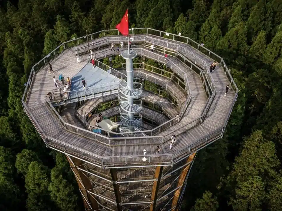 прогулка по кронам деревьев