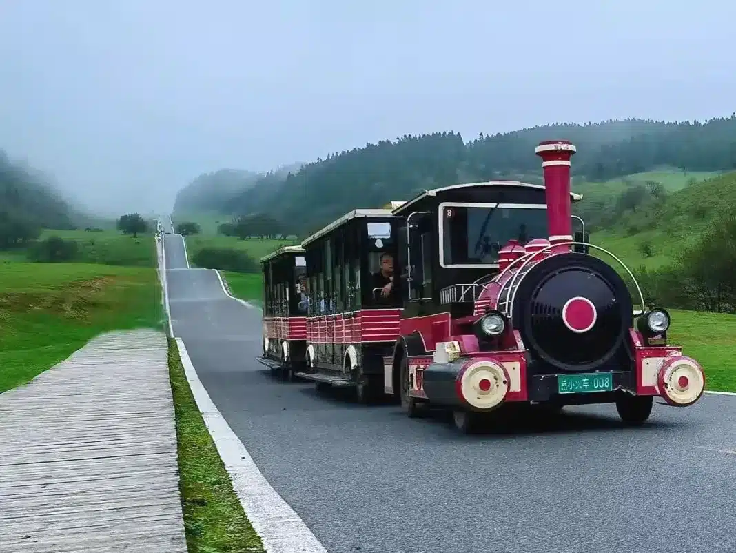 Национальный лесной парк Сяньнюшань Чунцина