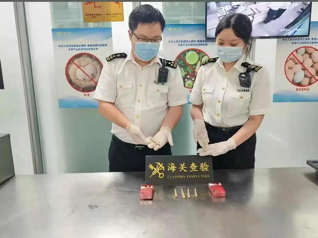 Таможенные правила Китая на 2026 год