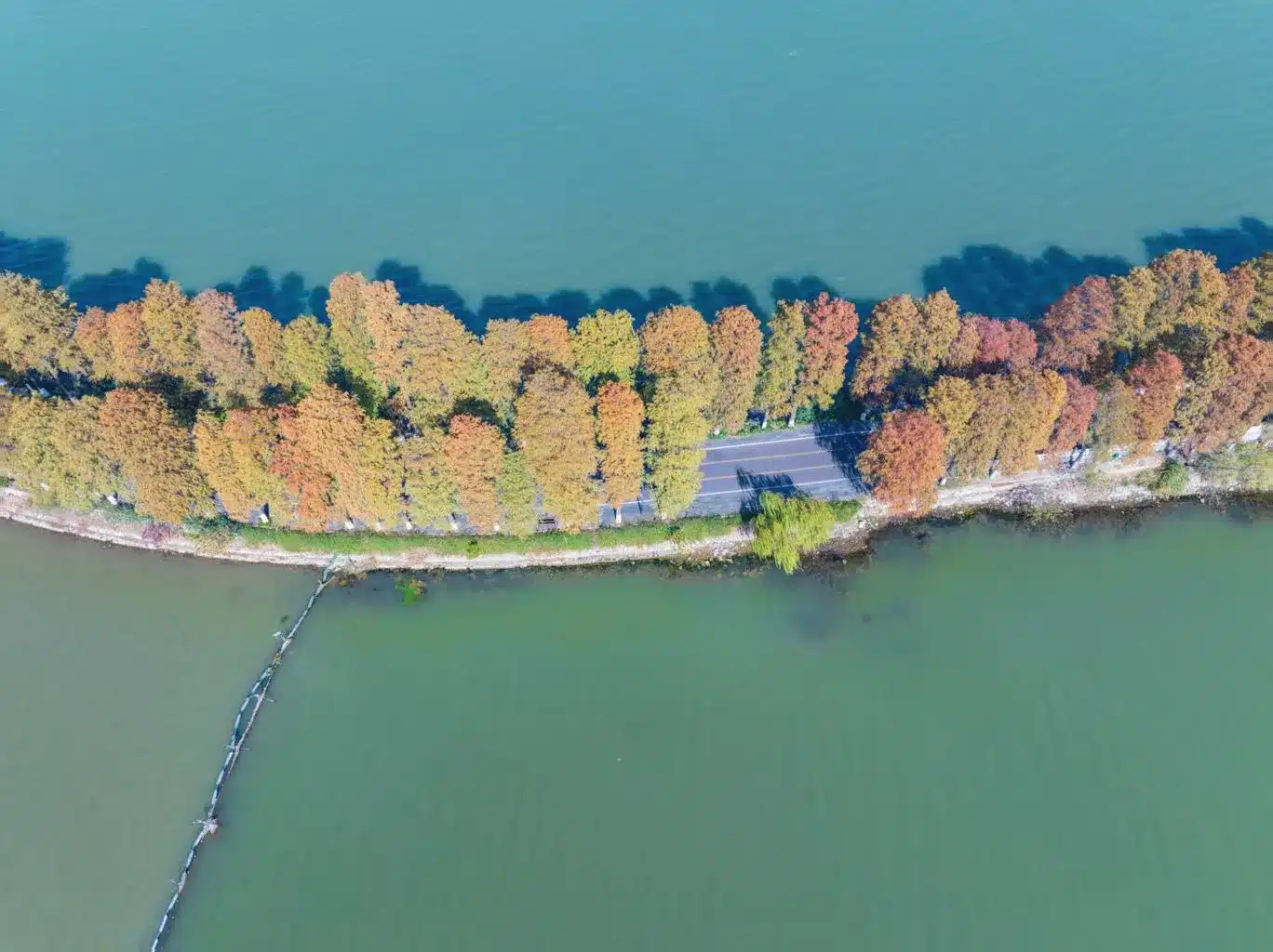 озеро Дунху:Тур Ухань - Ичан - гора Лу - Шанхай