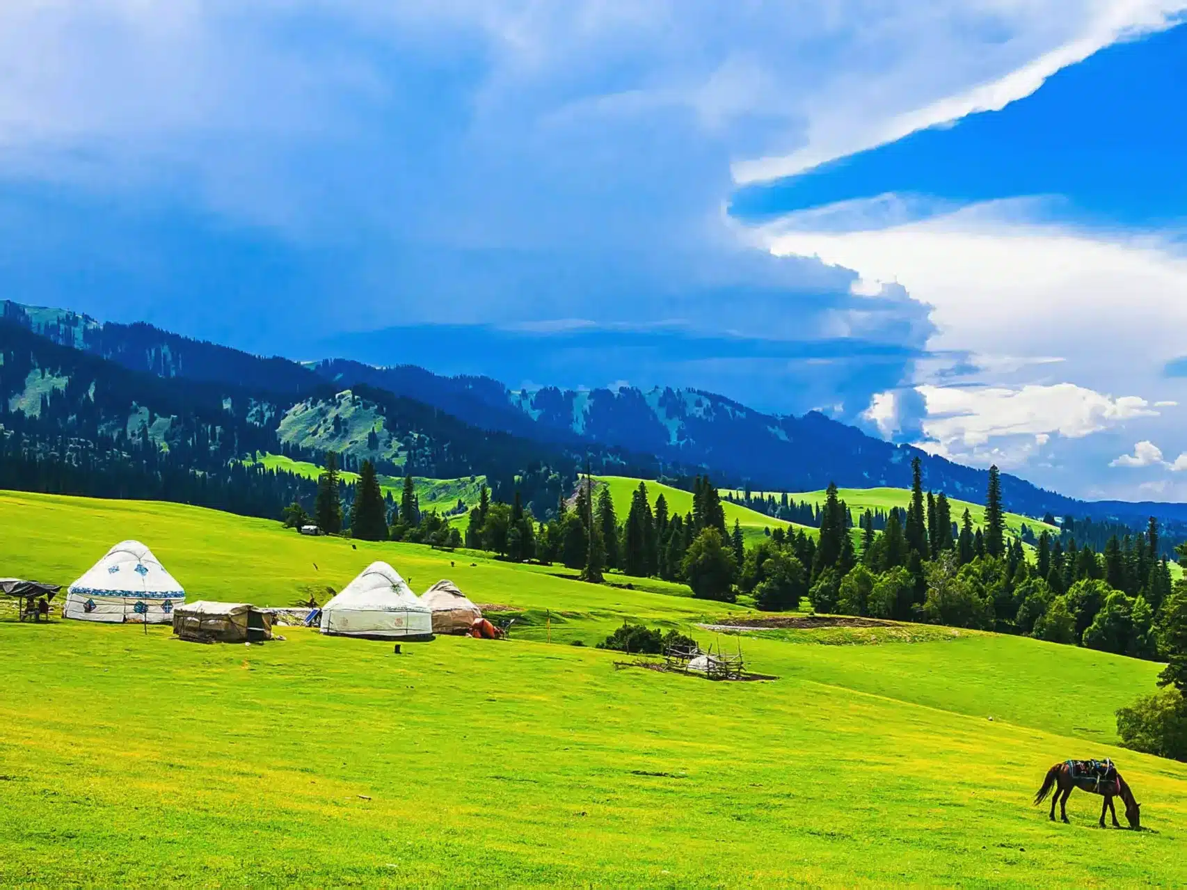 Тур в Синьцзян на 6 дней — Дорога Дуку, степи Налати, озеро Сайрам