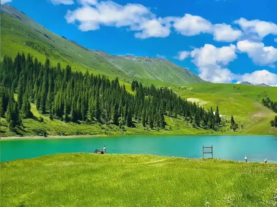 зона Танбула (Столичная галерея) Синьцзяна