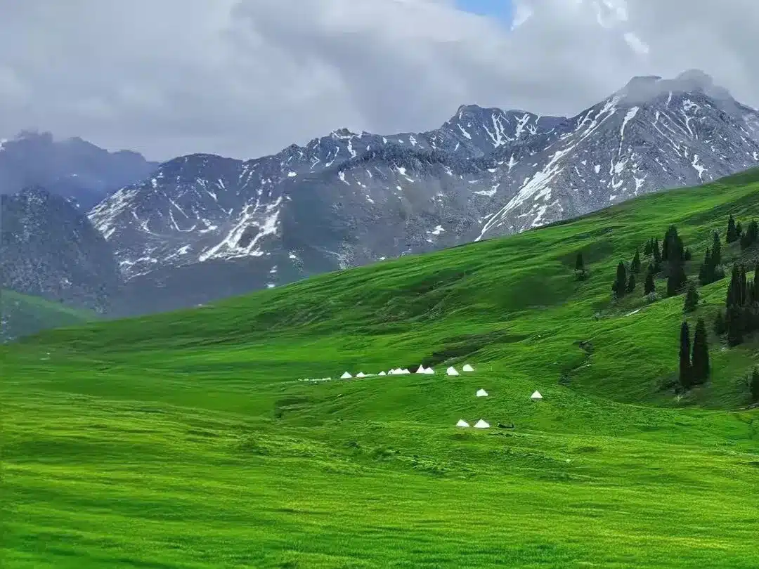 зона Танбула (Столичная галерея): Тур в Синьцзян