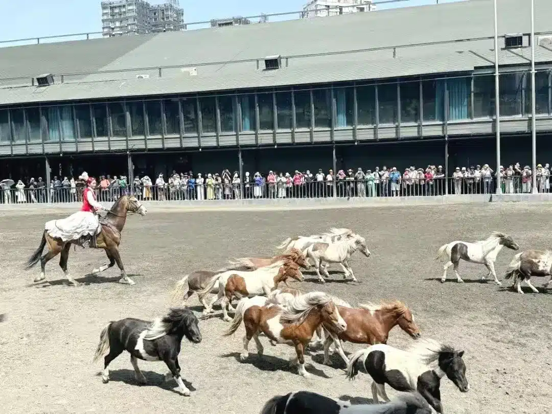 Древний экопарк диких лошадей Синьцзяна.
