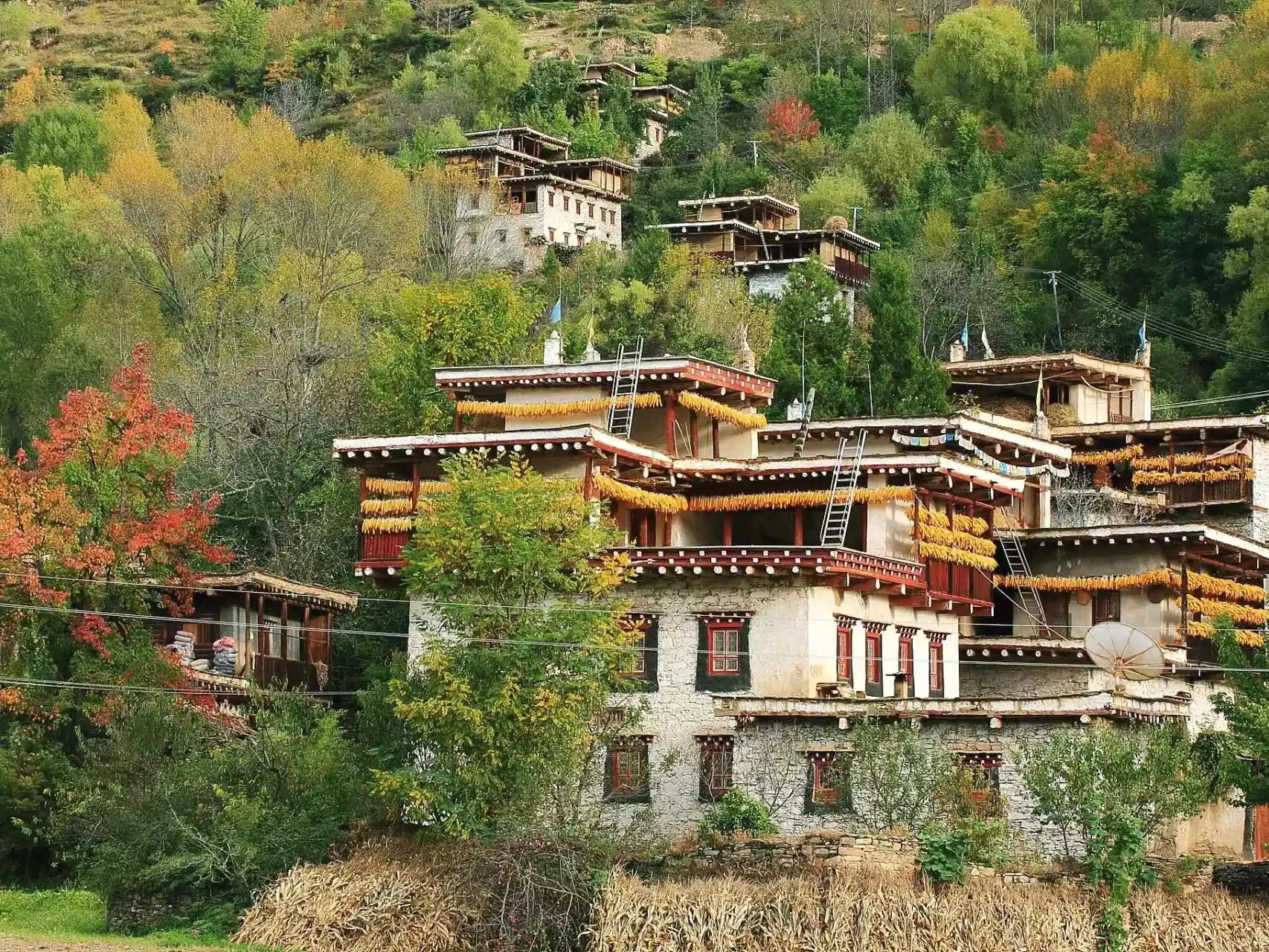 тибетская деревня