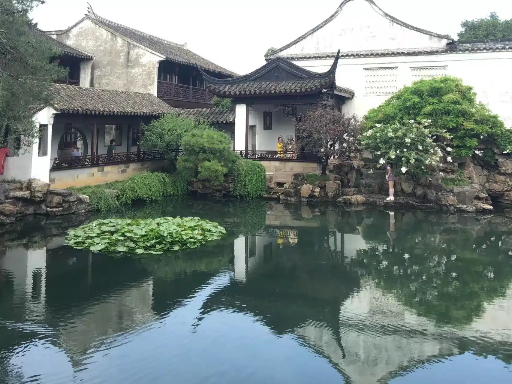 Сад "Мастер сетей"