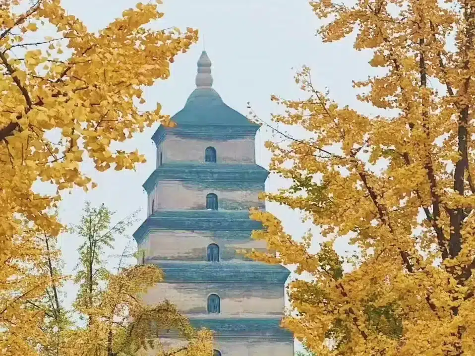 Когда лучше ехать в Сиань: осень