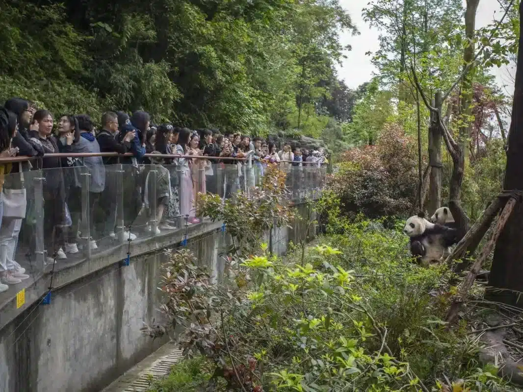 праздники в Чэнду