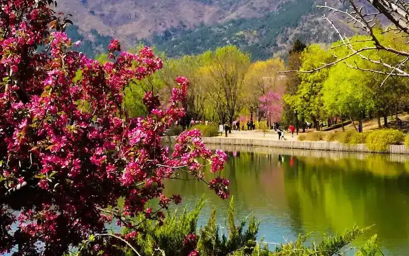 Пекинский ботанический сад