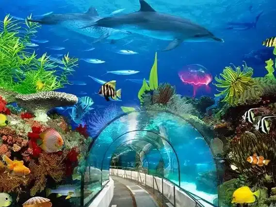 Пекинский аквариум — морские животные и семейный отдых