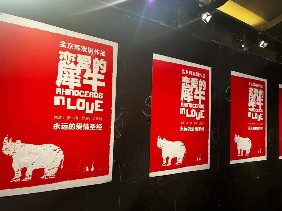 Влюбленный носорог