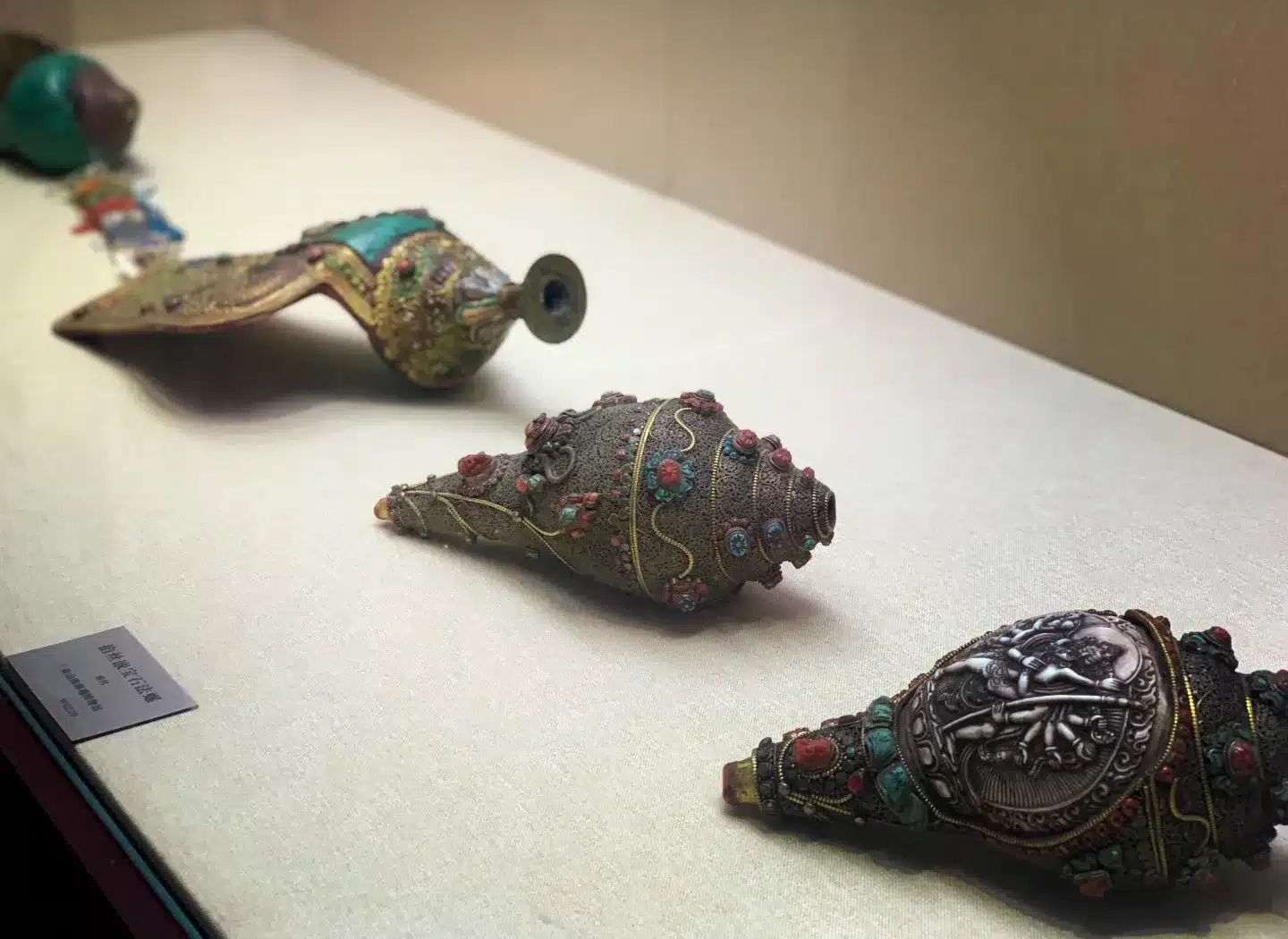 Музей морских раковин