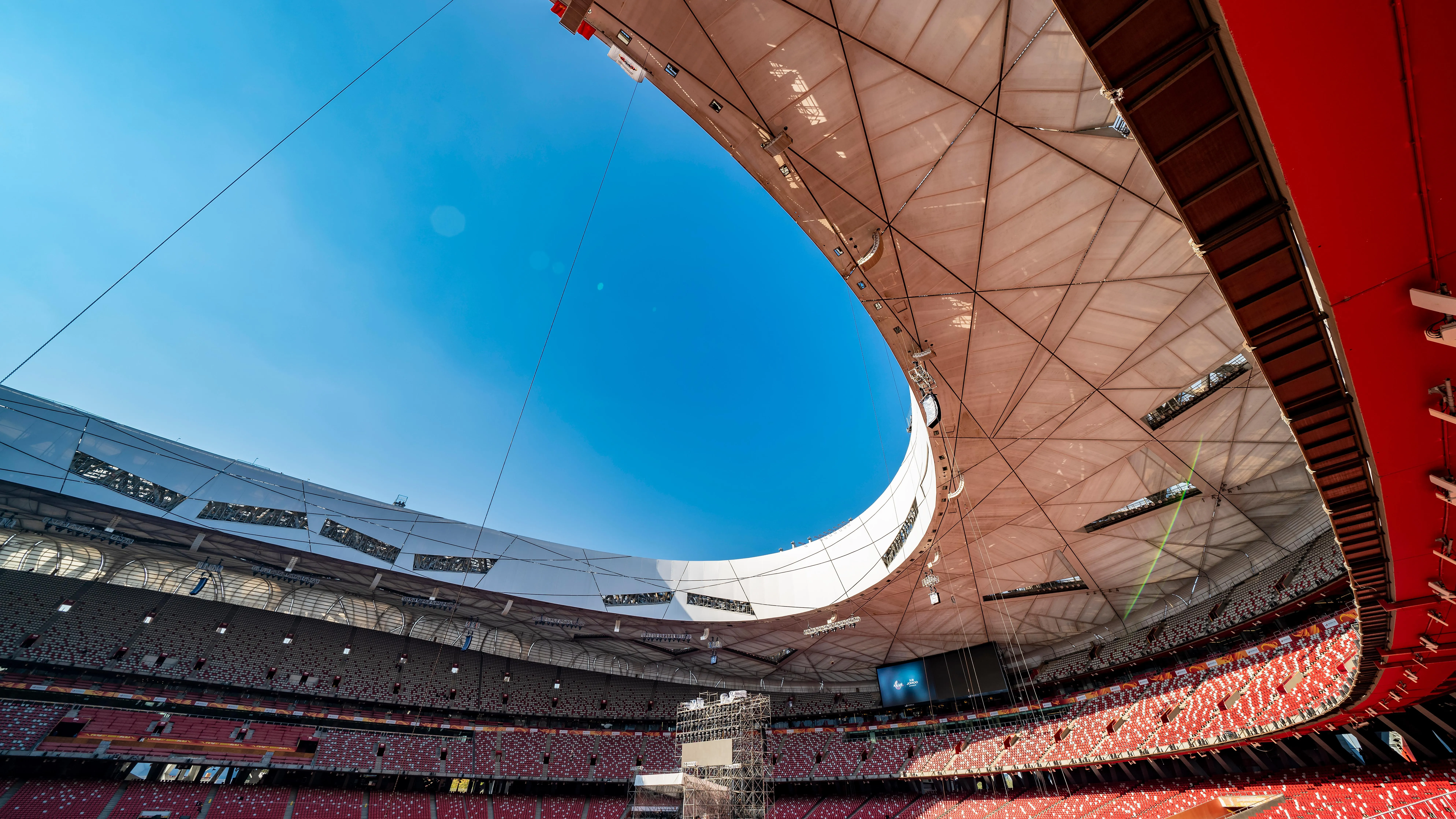 Птичье гнездо