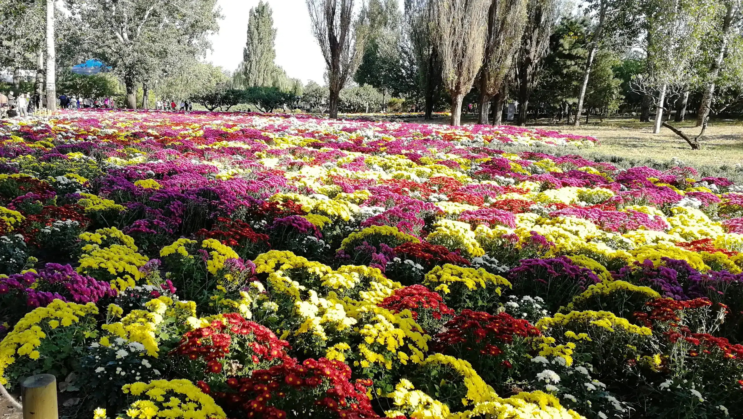 Пекинский ботанический сад