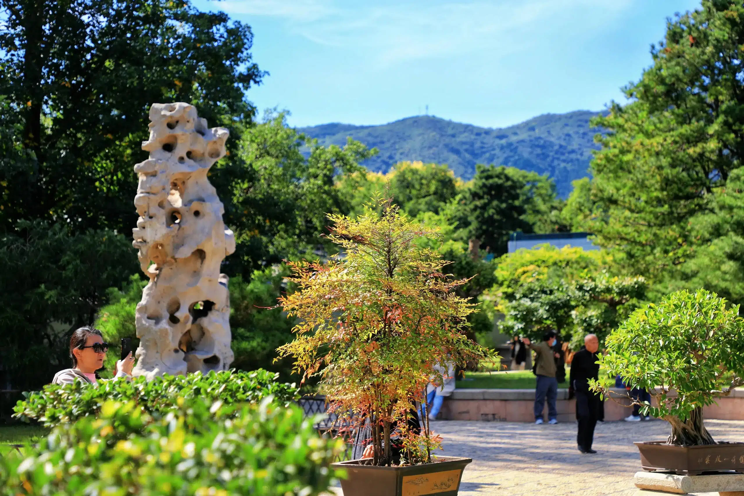 Пекинский ботанический сад