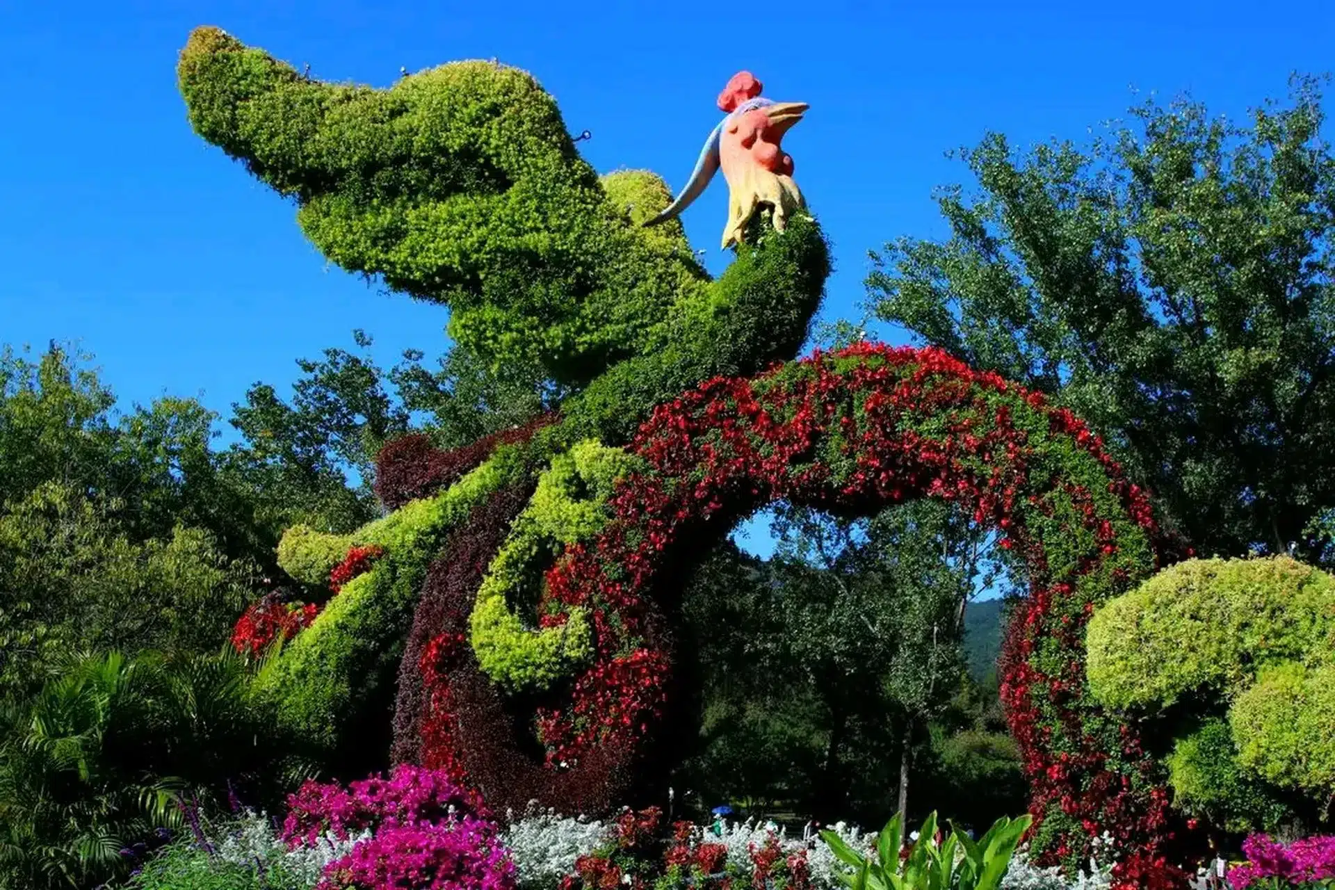 Пекинский ботанический сад