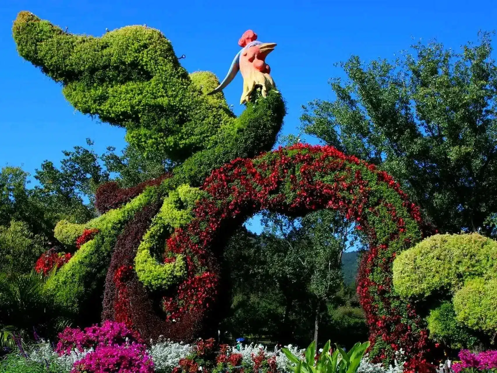 Пекинский ботанический сад — рай для любителей природы и цветов