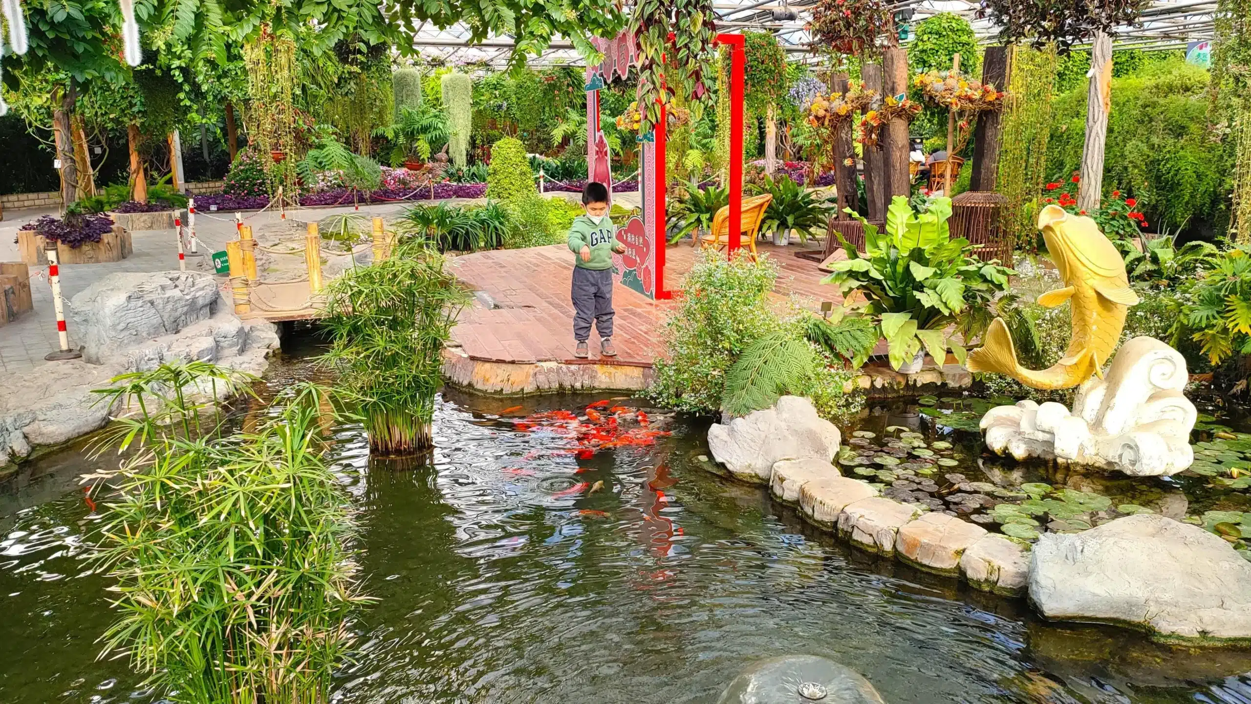 Пекинский ботанический сад